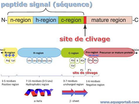 Bubs Collagen Peptides Technical Deep Dive: Purity, Specifications, Certifications, and Sourcing for Cosmetic Formulation