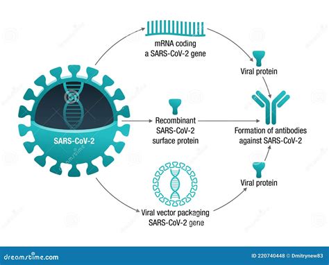 GHK Cu Peptide Technical Deep Dive Purity Specifications Manufacturing Sourcing and Certification Guide