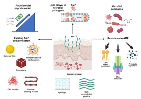 Oxytocin Peptide Technical Deep Dive Purity Specifications GMP Manufacturing and Sourcing Guide