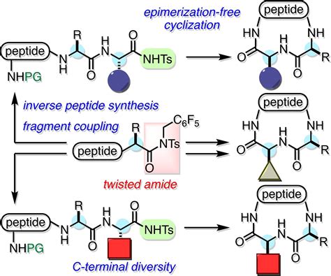 Peptides Sciences Technical Deep Dive Purity Specifications Manufacturing Sourcing and Certification Guide