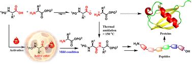 C Peptide Purity Specifications and Manufacturing Standards for Cosmetic Formulation Sourcing