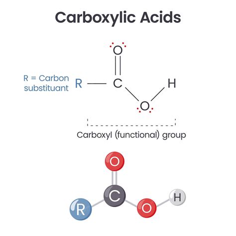 The Ultimate Guide to Peptides Bodybuilding: Purity, Manufacturing, and Sourcing Specifications
