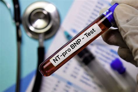 What Is a Peptide A Technical Deep Dive on Purity, Specification, Certification, and Sourcing