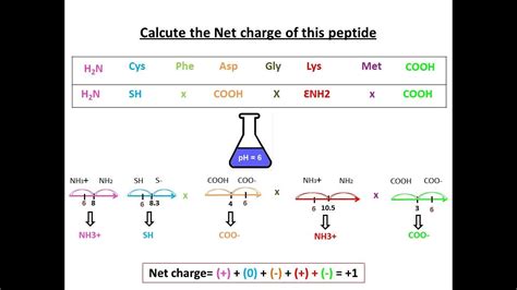 HGH vs Peptides for Lab Formulation: Purity, Sourcing & Manufacturing Guide