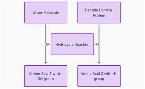 Peptide Sciences Sourcing Guide Purity Specifications Certifications for Lab and Cosmetic Formulation