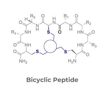 HGH Peptide Market 2006: Growth Data, Product Comparisons, and Selection Guide for Industry Insights