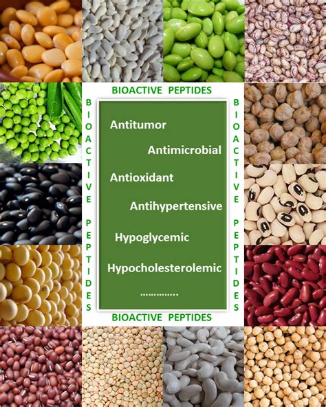 Master Peptide Purity with Biosynth Peptide Calculator: A Technical Guide for Lab Sourcing & Manufacturing Specifications