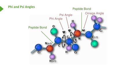 Rhode Peptide Lip Tint Sourcing Guide Purity Specifications Certifications and Manufacturing for Cosmetic Formulation Labs