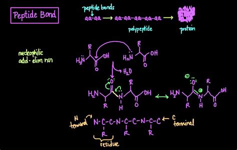 Kisspeptin Peptide Market 2026: Research Data on Therapeutic Potential, Product Comparisons, and Industry Growth Outlook
