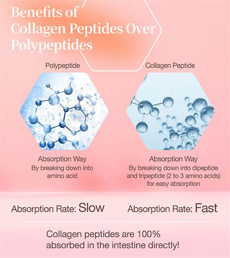 Retatrutide Peptide Data 2026: Clinical Trial Results, Market Outlook, and Comparative Efficacy Analysis