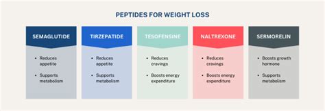Collagen Peptide Powder Market 2026: Research Data on Growth, Product Comparisons, and Industry Trends