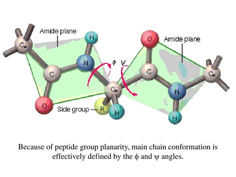 BPC 157 Peptides Sourcing Guide Purity Specifications Manufacturing Certifications for Lab and Cosmetic Formulation