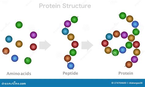 Nuscience Peptides: A Technical Deep-Dive on Purity, Manufacturing, and Sourcing Specifications for Cosmetic Formulation