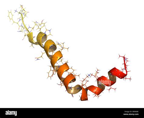 Sermorelin Peptide Purity and Manufacturing Specifications Guide for B2B Sourcing and Lab Formulation
